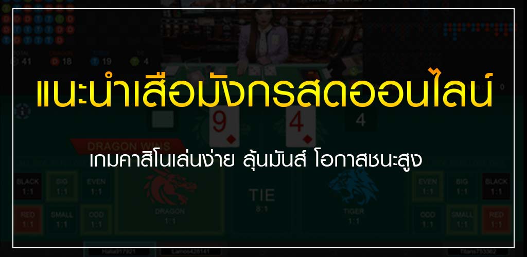 แนะนำเสือมังกรสดออนไลน์ เกมคาสิโนเล่นง่าย ลุ้นมันส์ โอกาสชนะสูง